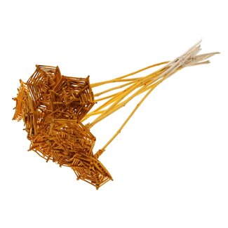 QC Rattan Lata Spiderweb on stick | Colour: Apricot | Lata Spiderweb flat Plant Stake | Length ± 50 centimetres | 10 plant stakes per bunch