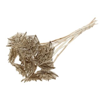QC Rattan Lata Spiderweb on stick | Colour: Natural Brown | Lata Spiderweb flat Plant Stake | Length ± 50 centimetres | 10 plant stakes per bunch