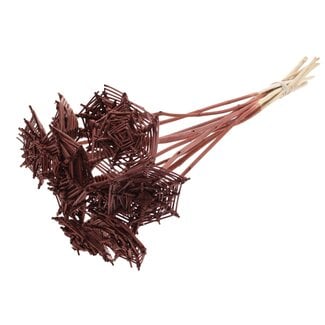 QC Rattan Lata Spiderweb on stick | Colour: Brown | Lata Spiderweb flat Plant Stake | Length ± 50 centimetres | 10 plant stakes per bunch