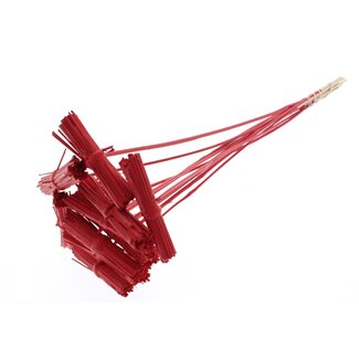 QC Kore Bouquet on stick | Colour: Red | Kore Insert Stick | Insert stick length ± 50 centimetres | 10 insert sticks per bunch