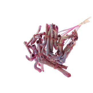 QC Gandiraj Branches on Stick | Colour: Pink Gradient | Gandiraj Insert Stick | Length ± 50 centimetres | 10 insert sticks per bunch