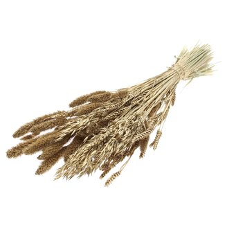 QC Strauß Getrocknete Blumenmischung | Farbe: Antik Goldfarben | Länge ± 60 Zentimeter | Pro Bund