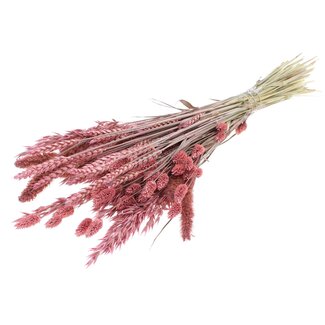 QC Strauß Getrocknete Blumenmischung | Farbe: Frosted Rosa | Länge ± 60 Zentimeter | Pro Bund