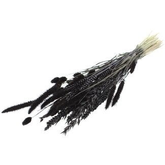 QC Strauß Getrocknete Blumenmischung | Farbe: Schwarz | Länge ± 60 Zentimeter | Pro Bund