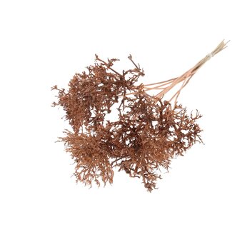 QC Dry Tree on stick | Colour: Salmon | Dry Tree Stick | Stick length ± 50 centimetres | 10 sticks per bunch