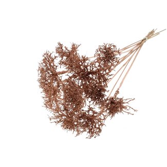 QC Dry Tree on stick | Colour: Metallic Copper | Dry Tree Stick | Stick length ± 50 centimetres | 10 sticks per bunch