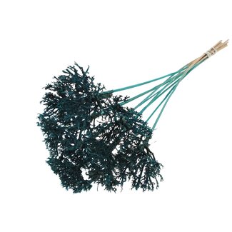 QC Dry Tree on stick | Colour: Turquoise | Dry Tree Stick | Stick length ± 50 centimetres | 10 sticks per bunch