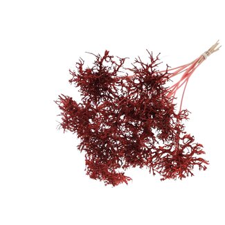 QC Dry Tree on stick | Colour: Coral | Dry Tree Stick | Stick length ± 50 centimetres | 10 sticks per bunch