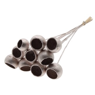 QC Dried Bellgums | Colour: Champagne | Bell Cup Stick | Length ± 50 centimetres | 10 sticks per bunch