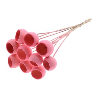 QC Gebleichte Getrocknete Bellgums | Farbe: Hellrosa | Bell Cup Stecker | Länge ± 50 Zentimeter | 10 Stecker pro Bund