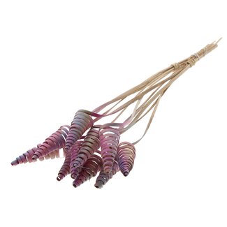 QC Palm Spiral on Stem | Colour: Gradient Pink | Cane Cone Plant Stake | Stake Length ± 50 centimetres | Per 10 stakes