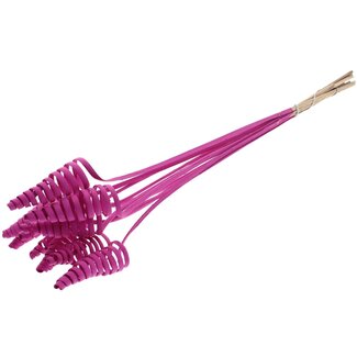 QC Palm Spiral on Stem | Colour: Cherry | Cane Cone Plant Stake | Stake Length ± 50 centimetres | Per 10 stakes
