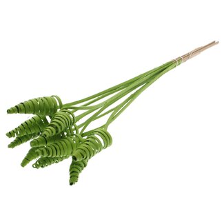 QC Palm Spiral on Stem | Colour: Light Green | Cane Cone Plant Stake | Stake Length ± 50 centimetres | Per 10 stakes