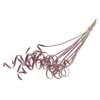 QC Palm Spiral on Stem | Colour: Gradient Pink | Cane Cone Plant Stake | Stake Length ± 50 centimetres | Per 10 stakes