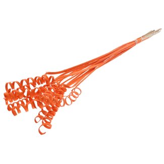 QC Palm Spiral on stem | Colour: Orange | Cane Cone Plant Stake | Stake length ± 50 centimetres | Per 10 stakes