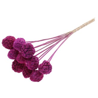 QC Bleached Atta Fruit on stick | Colour: Lilac | Custard Apple Pick | Length ± 50 centimetres | 10 picks per bunch
