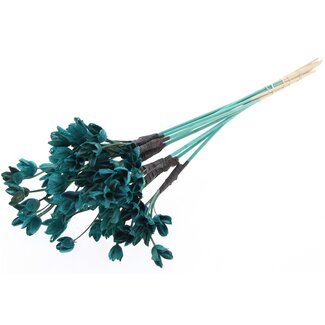 QC Bakuli on stick | Colour: Turquoise | Beech Nut Seed Pod Insert | Length ± 50 centimetres | 10 inserts per bunch