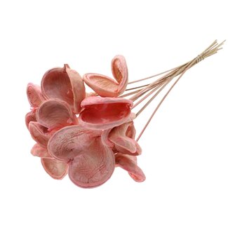 QC Bleached Badam on stick | Colour: Light pink | Length of stick approximately 50 centimetres | 10 sticks per bunch