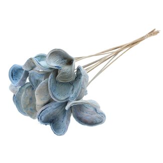 QC Bleached Badam on stick | Colour: Light blue | Length of stick ± 50 centimetres | 10 sticks per bunch