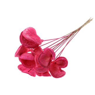 QC Bleached Badam on stick | Colour: Cherry-coloured | Stick length ± 50 centimetres | 10 sticks per bunch