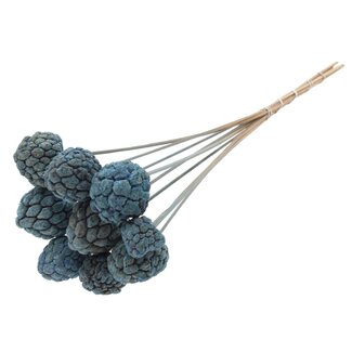 QC Bleached Atta Fruit on stick | Colour: Frosted Light Blue | Custard Apple Pick | Length ± 50 centimetres | 10 picks per bunch