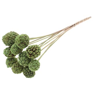 QC Bleached Atta Fruit on stick | Colour: Mint Green | Custard Apple Pick | Length ± 50 centimetres | 10 picks per bunch