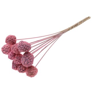 QC Bleached Atta Fruit on stick | Colour: Frosted Pink | Custard Apple Pick | Length ± 50 centimetres | 10 picks per bunch