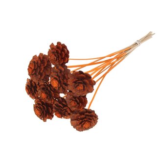 QC Half Pine Cone on Stick | Colour: Orange | Diameter 5 - 7 centimetres | Length ± 50 centimetres | 10 picks per bunch