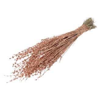 QC Dried Lavender | Colour: Metallic Copper | Lavender Dried Flowers | Length ± 50 centimetres | Per bunch