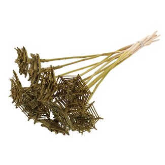 QC Rattan Lata Spiderweb on stick | Colour: Olive Green | Lata Spiderweb flat Plant Stake | Length ± 50 centimetres | 10 stakes per bunch