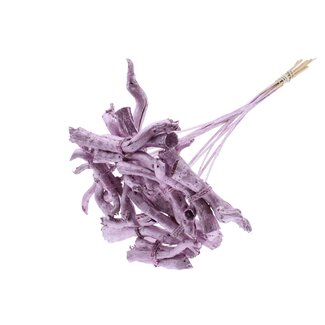 QC Gandiraj Branches on stick | Colour: Metallic Pink | Gandiraj Pick | Length ± 50 centimetres | 10 picks per bunch
