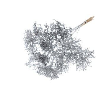 QC Dry Tree on stick | Colour: Metallic Silver | Dry Tree Stick | Stick length ± 50 centimetres | 10 sticks per bunch