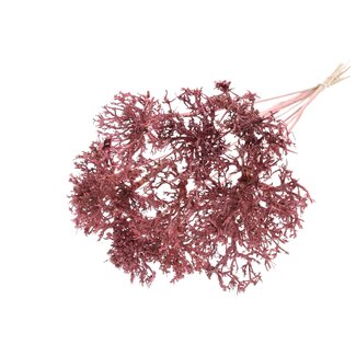 QC Dry Tree on stick | Colour: Light pink | Dry Tree Stick | Stick length ± 50 centimetres | 10 sticks per bunch