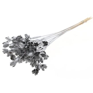 QC Bowls on stick | Colour: Silver-coloured | Beech Nut Seed Pod Pick | Length ± 50 centimetres | 10 picks per bunch