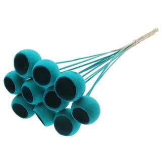 QC Bleached Dried Bellgums | Colour: Turquoise | Bell Cup Pick | Length ± 50 centimetres | 10 picks per bunch