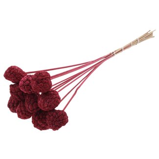 QC Bleached Atta Fruit on stick | Colour: Bordeaux red | Custard Apple Pick | Length ± 50 centimetres | 10 picks per bunch