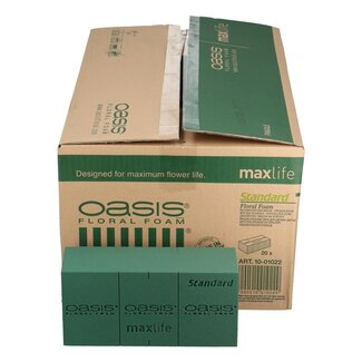4A Oasis Max Life Steckmasse Block Standard | Farbe: Grün | Länge 23 Zentimeter | Breite 11 Zentimeter | Höhe 8 Zentimeter | Inhalt 20 Blöcke | Pro Karton