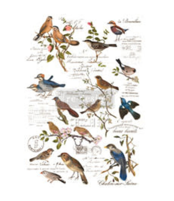 Redesign Redesign - Decor Transfer - Postal Birds