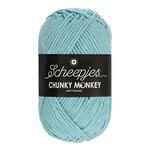 Scheepjes 1019 POWDER BLUE