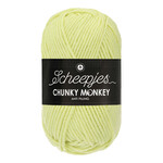 Scheepjes 1020 MINT