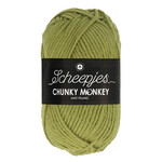 Scheepjes 1065 SAGE