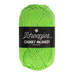 Scheepjes 1821 LIME