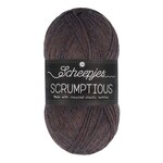 361 Blueberry Chocolate Tart