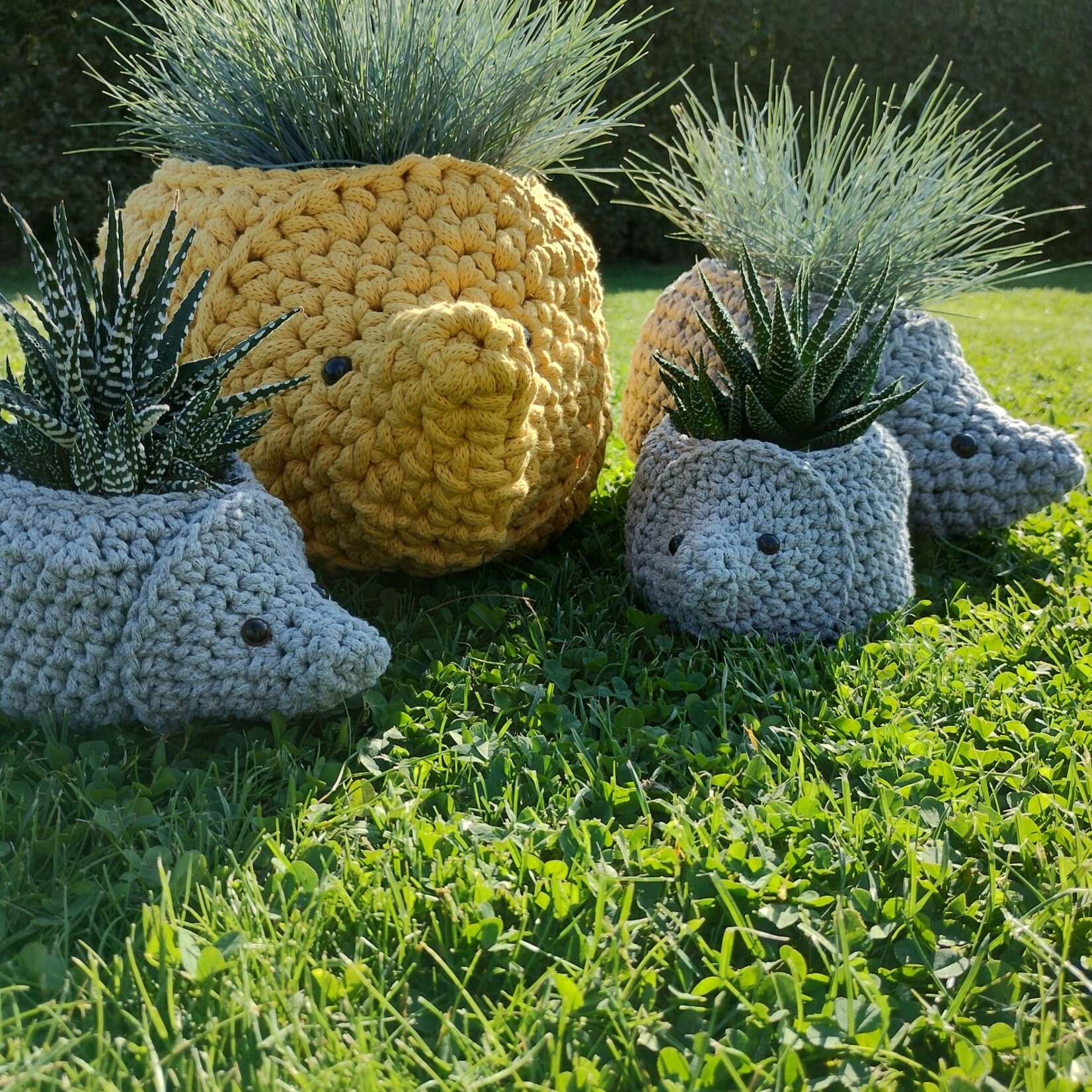 Online haken: egels: midden en klein