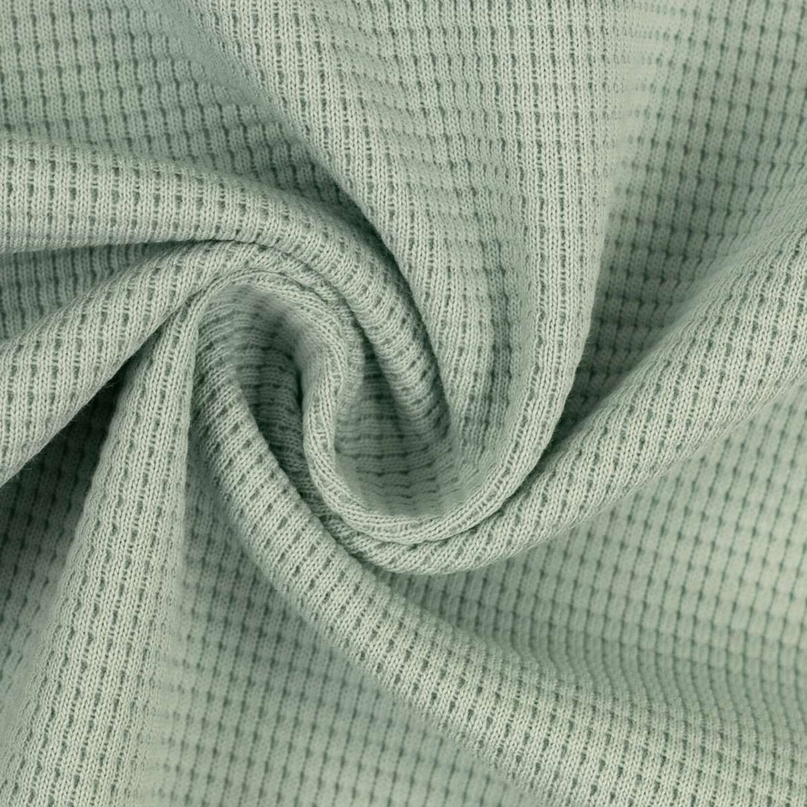 Clarissa mint