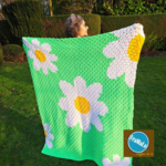 Picknickdeken C2C: patroon en videolessen