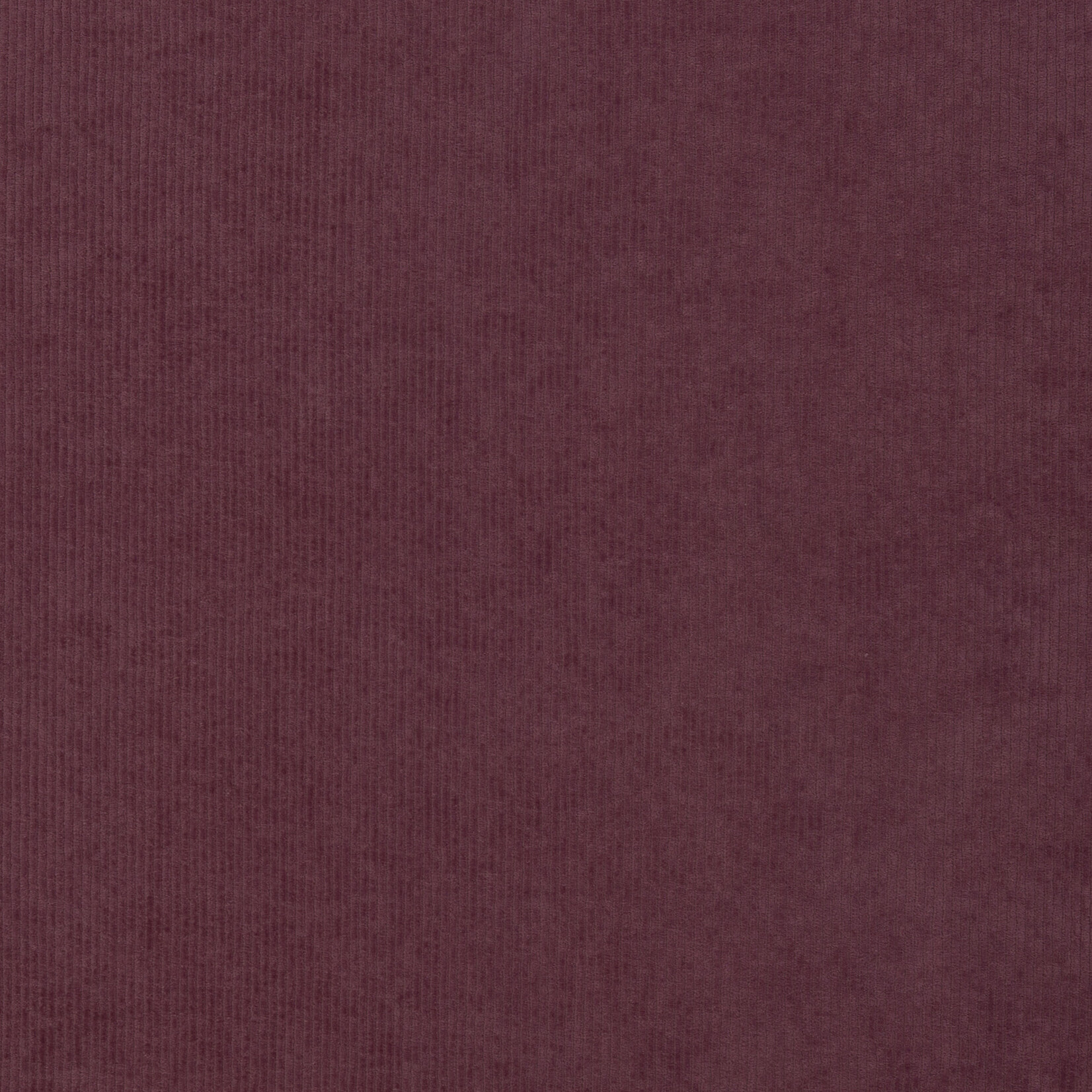 Juna mauve 436