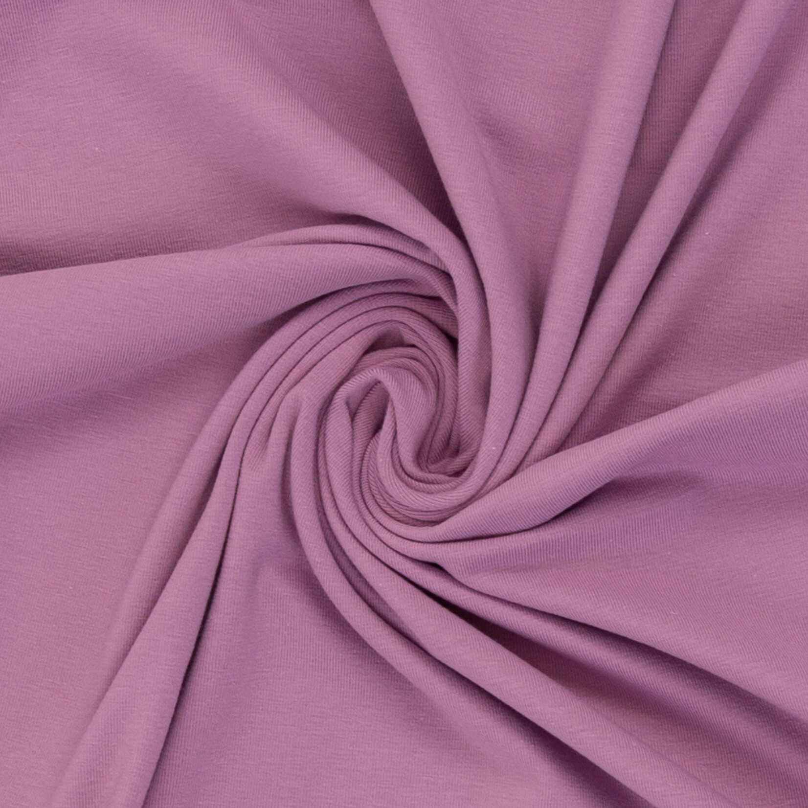 Vanessa winterlavendel