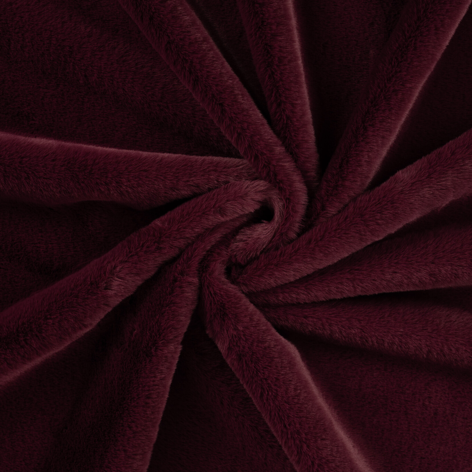 Castorini dark bordeaux