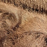 Quality fur brown